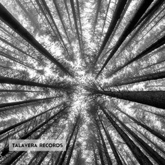 Talavera Records l Two Years l Free Download