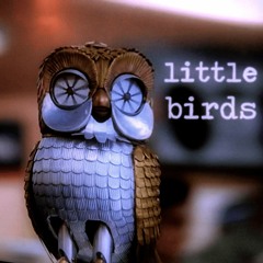 Little Birds