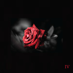 Shiwan - Roses Without Red IV