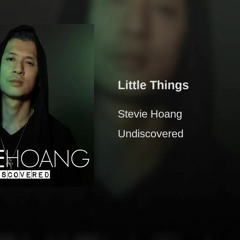 Stevie Hoang - Little Things