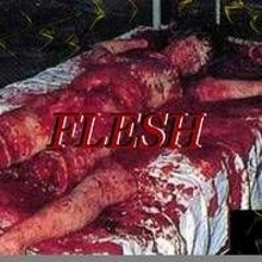 Flesh [Prod. PLURBS]