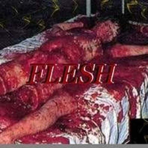 Flesh [Prod. PLURBS]