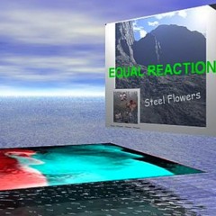 12 - Equal Reaction - Steel Flowers - Sometimes