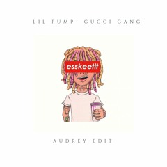 Lil Pump - Gucci Gang (Audrey edit) free download