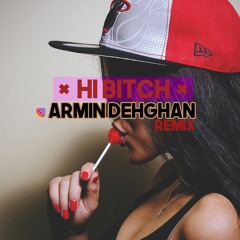 Hi Bitch (Armin Dehghan Remix)