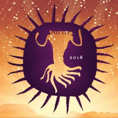 AfrikaBurn 2018 - WORKING TITLE_____