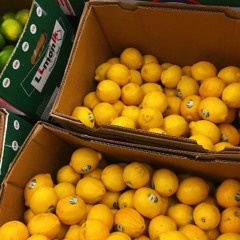 FRIENDS (Prod. Kees)