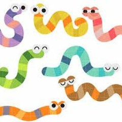 Worms
