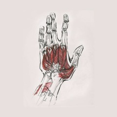ĐÃ BAO LÂU RỒI - BOODI