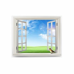 قصة الام مفقودت العين وابنها قصة مؤثره