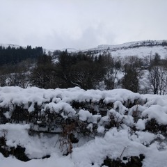 Rage Against The Machine