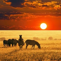 Rythmes africain-Top 20 Deep Vocals of 2017 (Mix by Uzi)