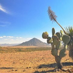 El Trono de Mexico- Te Ves Fatal // Lasting Sounds (Bootleg)