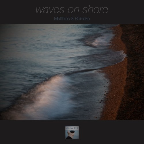 waves on shore (Reineke & Matthies)