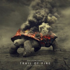 Trail of Fire(DJI WRC Mexico 2017 Soundtrack)