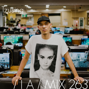 IA MIX 263 Tzusing