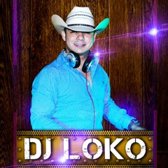 Puros Cochazos Calentanos