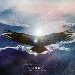 Condor (DJI WRC Argentina 2017 Soundtrack)