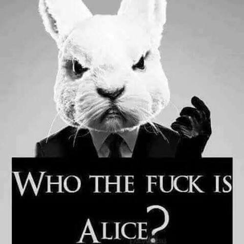 Sasha toyaner ent. playlist 9