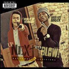 WildLife Wreck -Going Down Again