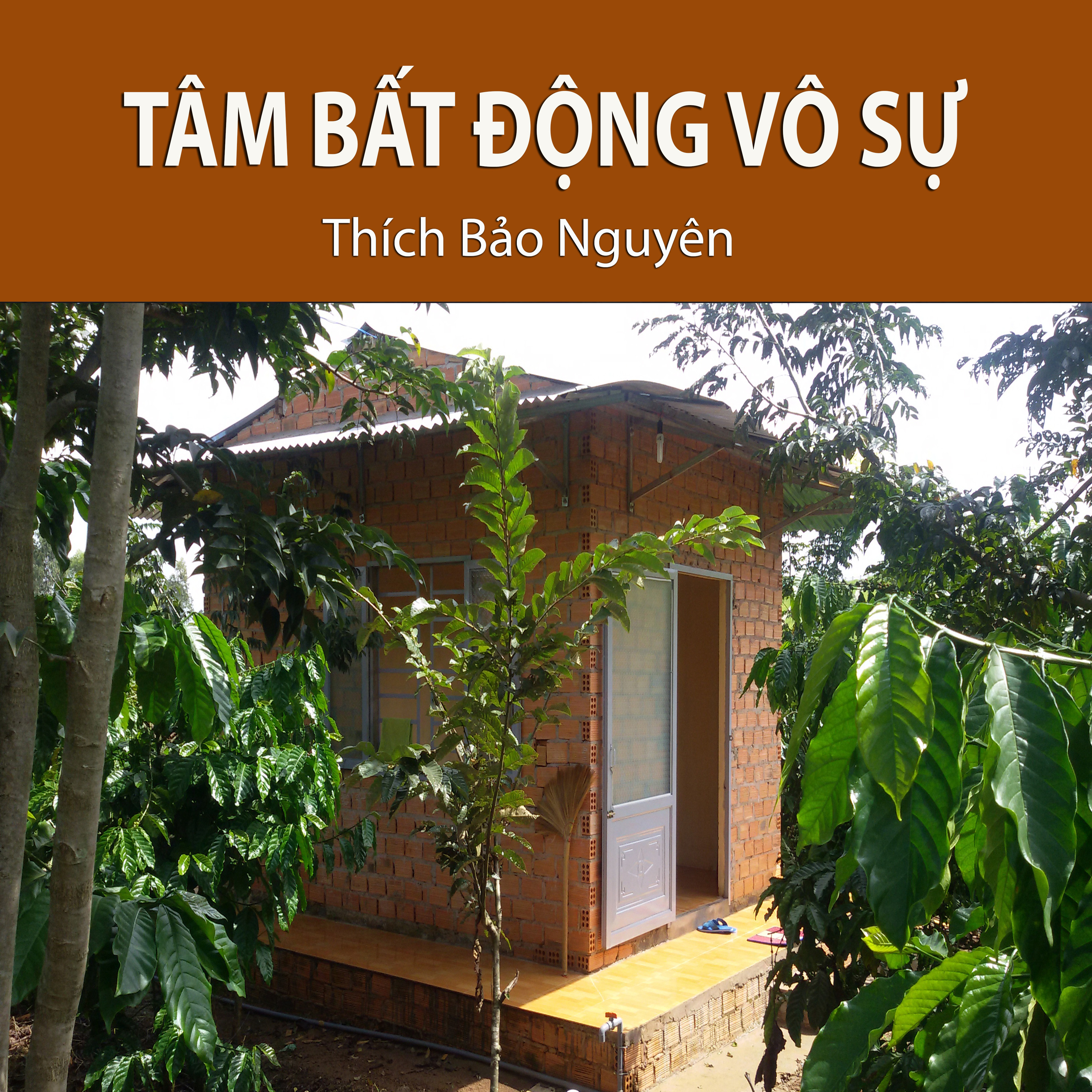 Tâm Bất Động Vô Sự episode artwork
