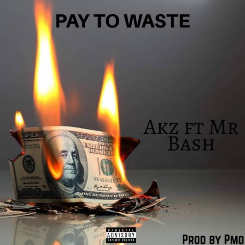 Pay to waste 💸 (ft mr bash)