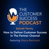 How to Deliver Customer Success in the Partner Channel with Wayne Berkowitz