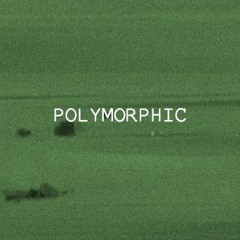 p0lymorphic