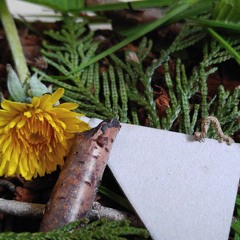 Mvt. I - The Caterpillar, 'introlude'