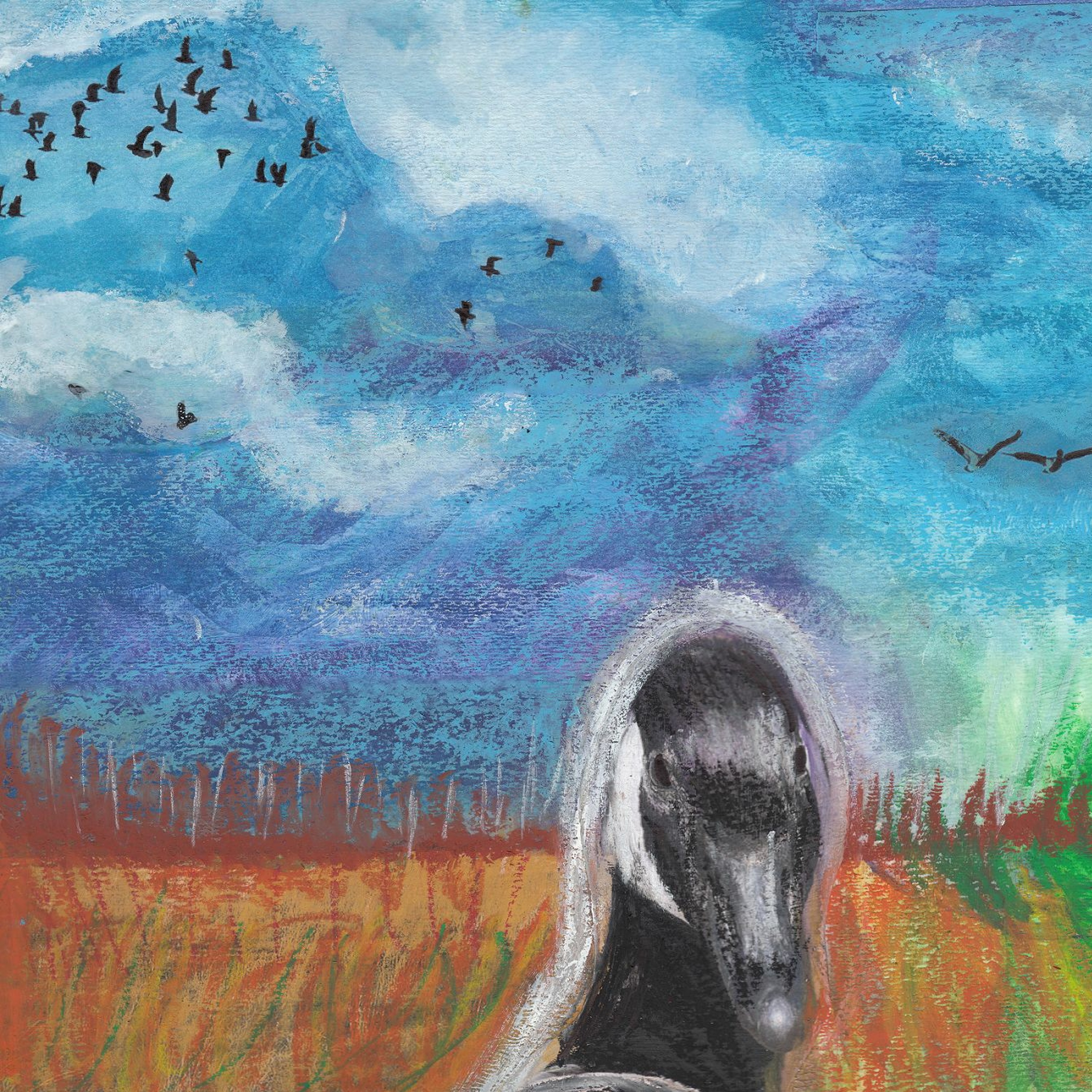 Canada Geese episode artwork