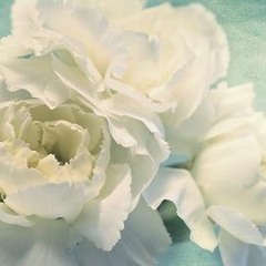 Touch Me (Spring Awakening)