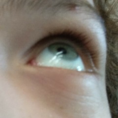 Its 3 am and i tuned go flex to full step down help me