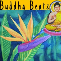 Buddha Beats (Song I made in Thailand 🇹🇭)