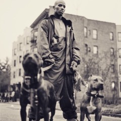 Dog For Life