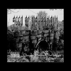 BLACK METAL....⚔️⚔️⚔️