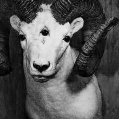 Baphomet Meditation