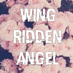 WingRiddenAngel (xxxtentacion)