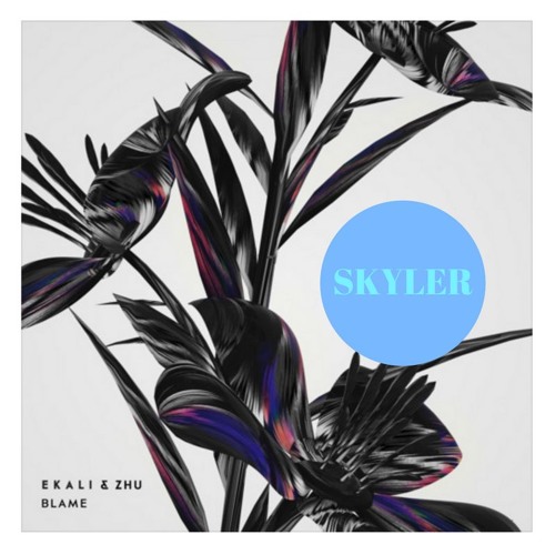 ekali & zhu - blame (skyler flip)