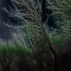 D A R K N E S S (Prod. by FATAL M)