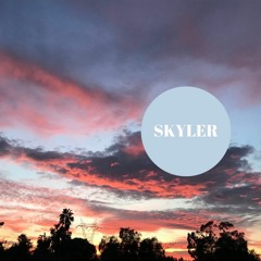 Who's Skyler No.2