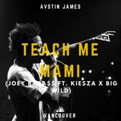 AUSTIN JAMES - Teach Me Mami (Joey Bada$$ feat. Kiesza X Big Wild)
