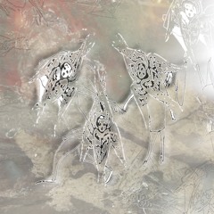 Organ Tapes - New