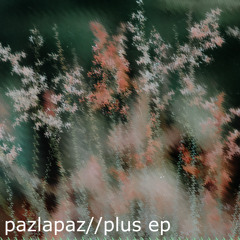 pazlapaz - Prism Schools