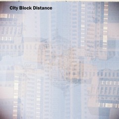City Block Distance