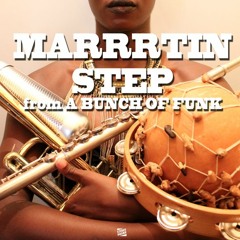 DJ MARRRTIN - STEP - A BUNCH OF FUNK LP