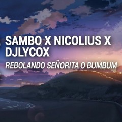 Sambo X Nicolius X DJLycox - Rebolando SeÃ±orita O Bumbum