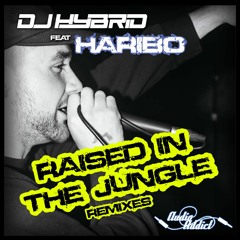DJ Hybrid Ft. Haribo - Raised In The Jungle (Galvatron Remix)
