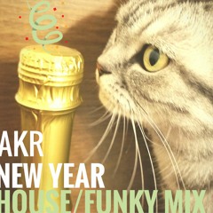 New Year House/funky Mix