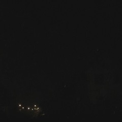 InteriorCrocodileAlligator - Ft. Lambo Lawson