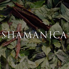Shamanika (2006)